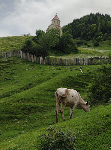 Наши последние поездки