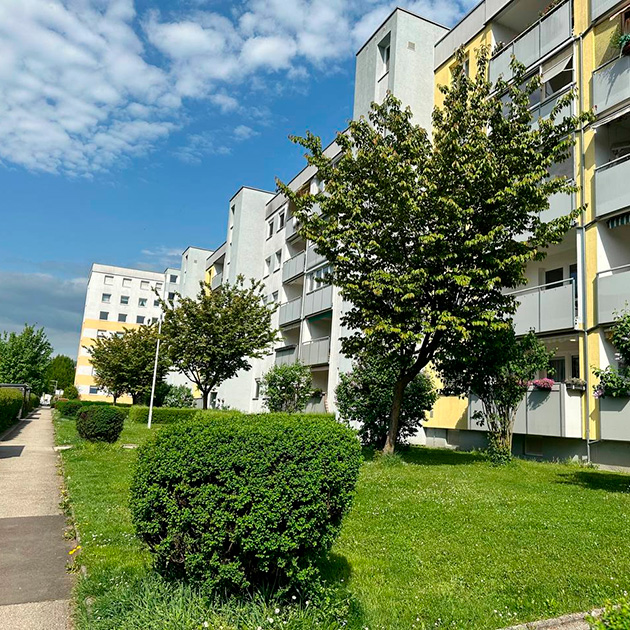 По пути на работу нафоткала для вас красоту. Запах рядом с цветущими деревьями просто потрясающий