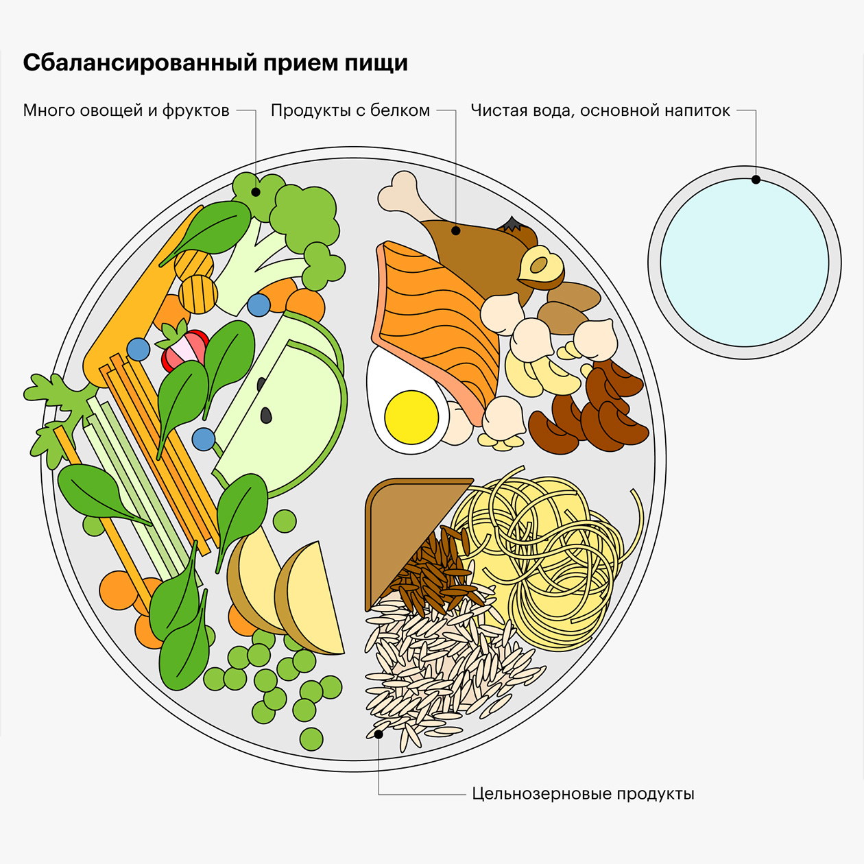 Формула сбалансированной тарелки согласно Канадским рекомендациям по питанию. По ней можно собирать не только основные приемы пищи, но и перекусы, уменьшая порцию съедаемого