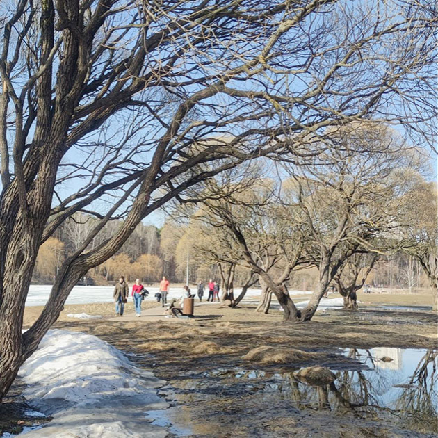 Сегодня солнечно и тепло