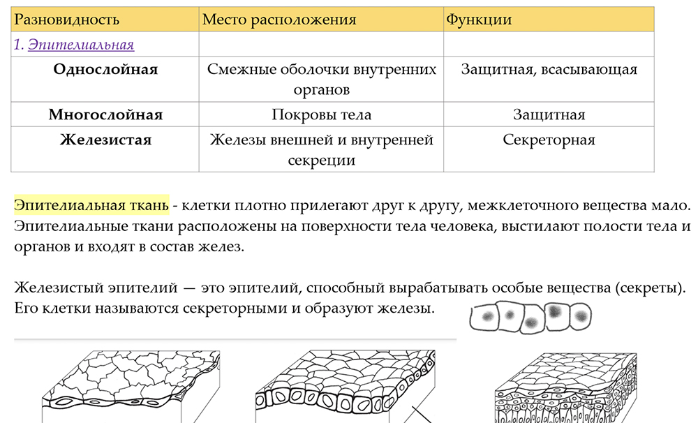 Материал для подготовки к уроку про ткани живых организмов