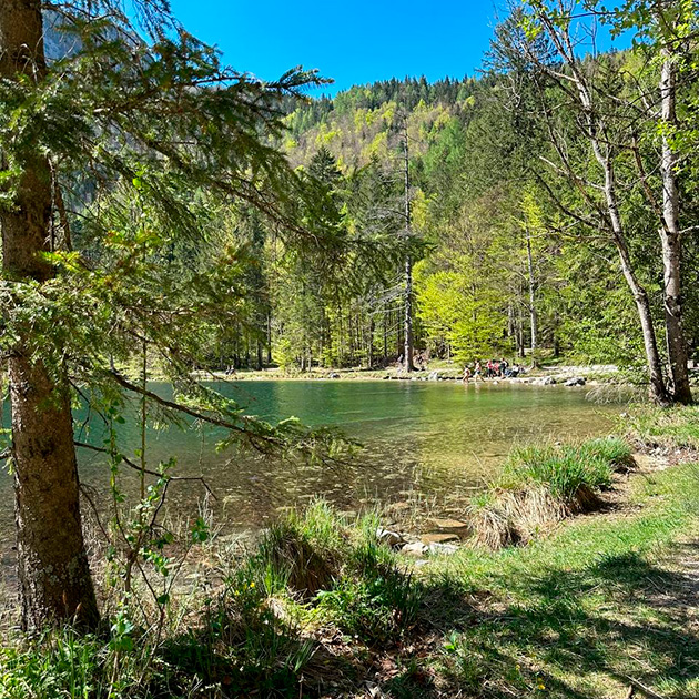 Нафоткала кучу красоты, хочу поделиться с вами