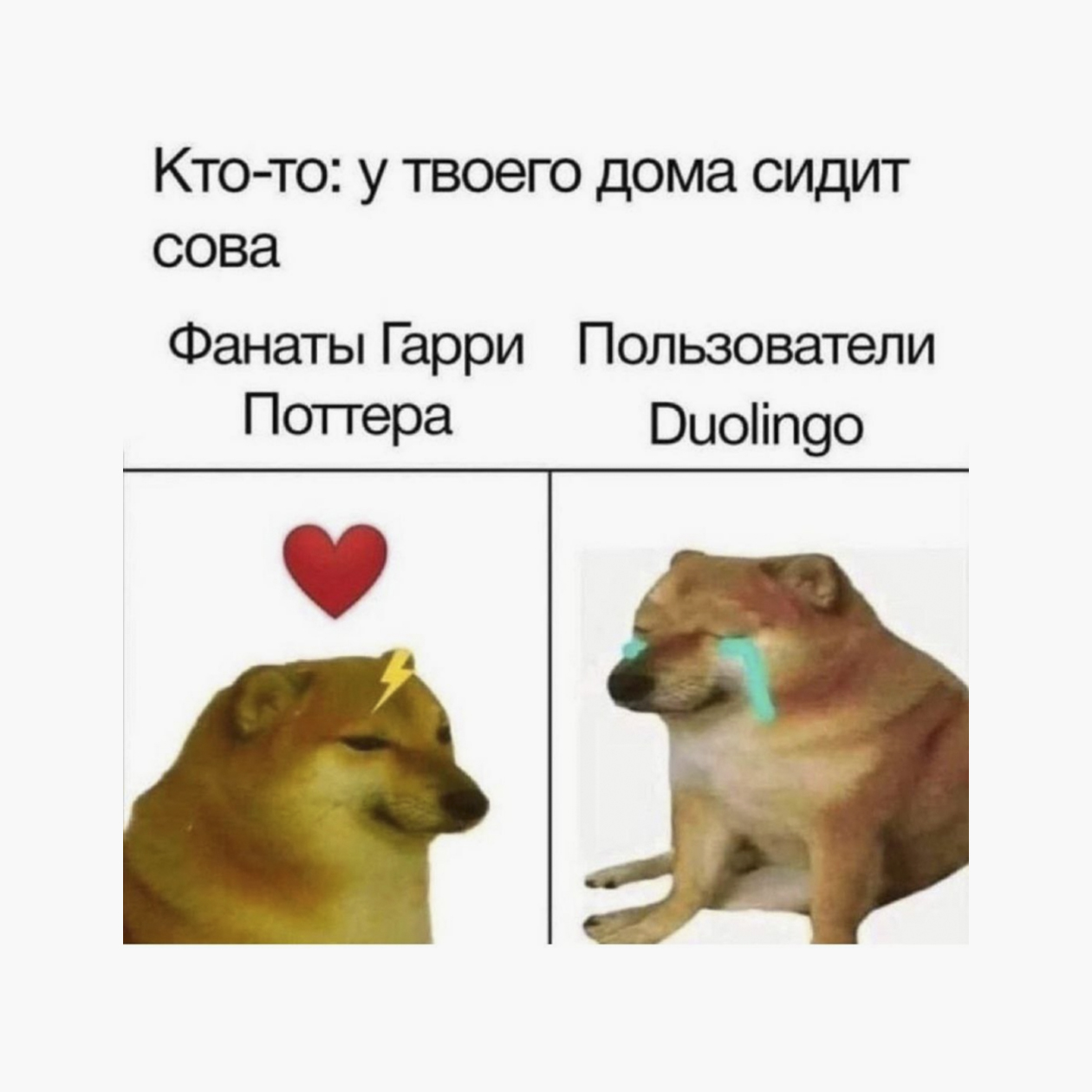 Мемы про зловещую сову