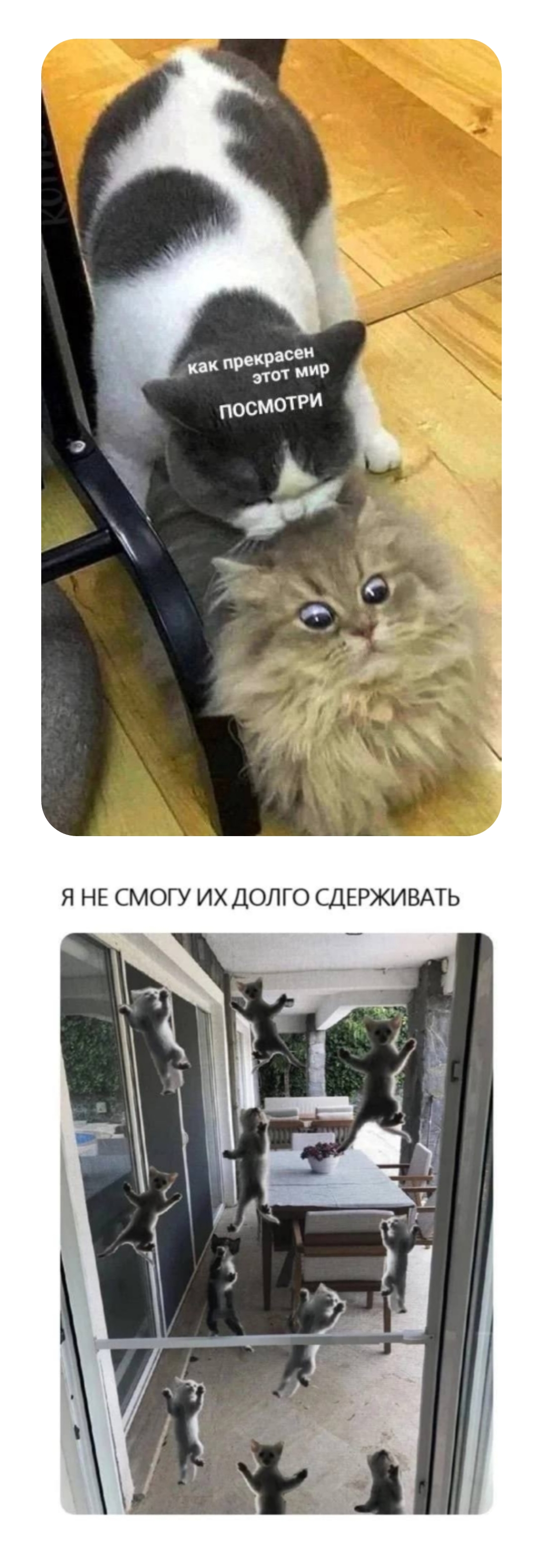 Мем года