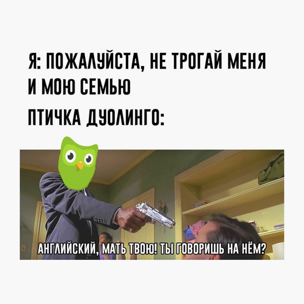 Мемы про зловещую сову