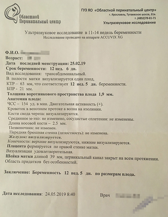 В конце первого триместра по направлению гинеколога супруга сделала УЗИ. Врач подтвердил, что плод развивается нормально