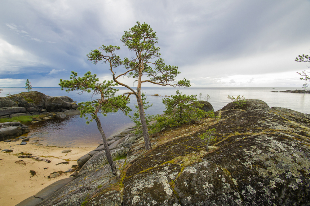 Фото: Yakovlev Sergey / Shutterstock