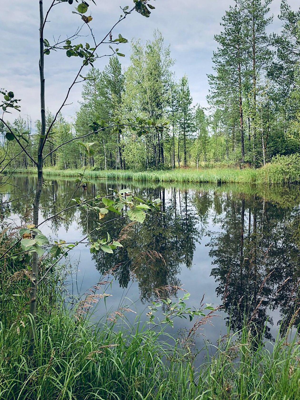 Отдых в родном поселке