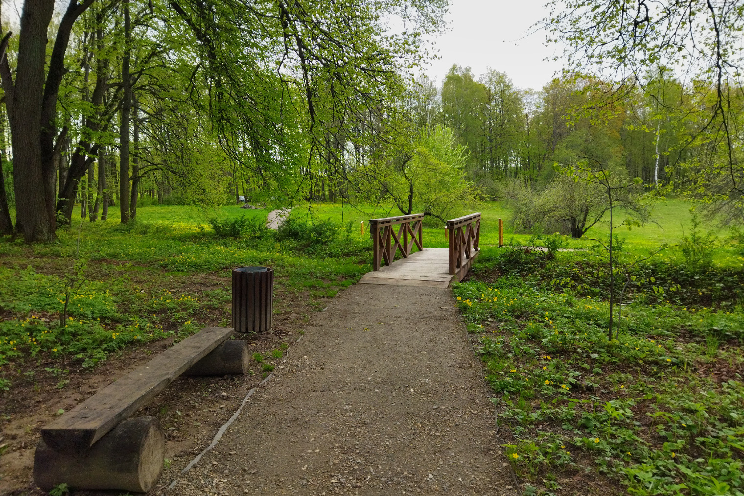 В лесопарке есть дорожки, скамейки, мостики