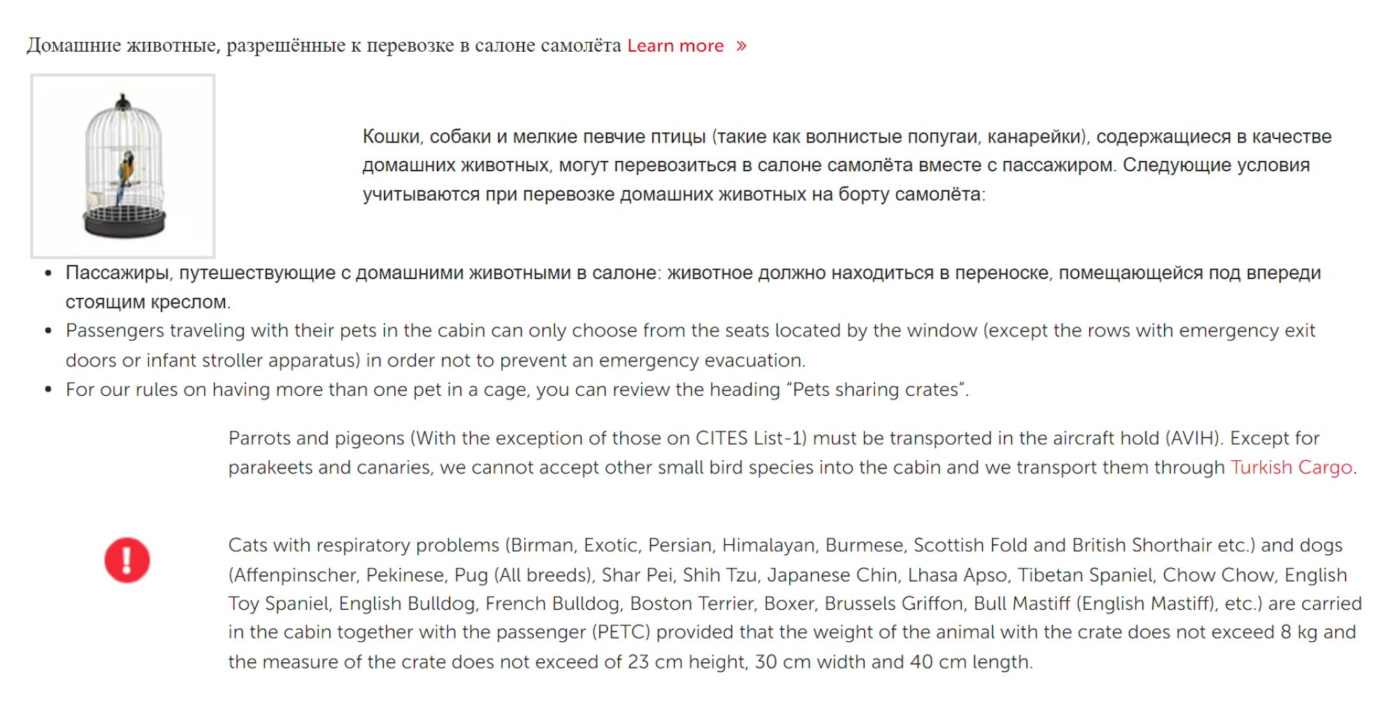 На сайте авиакомпании указано, что в салоне самолета можно перевозить собак, кошек и певчих птиц. Источник: turkishairlines.com