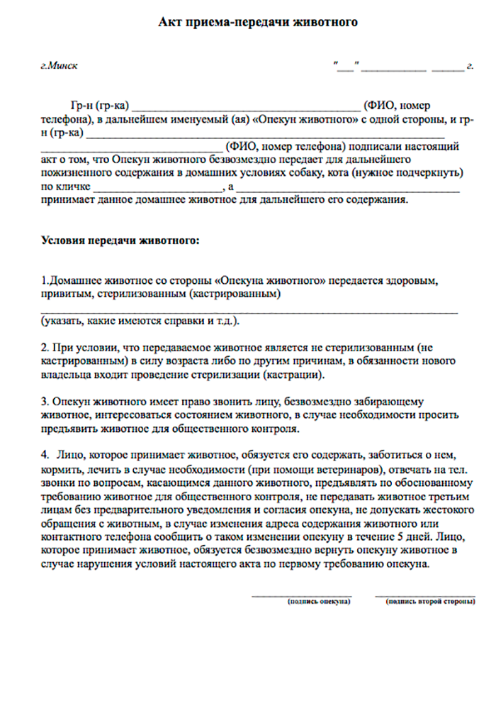 В договоре прописано, что новый хозяин должен кормить и лечить собаку и обязательно связаться с прежним опекуном, если пса по каким-то причинам придется отдать