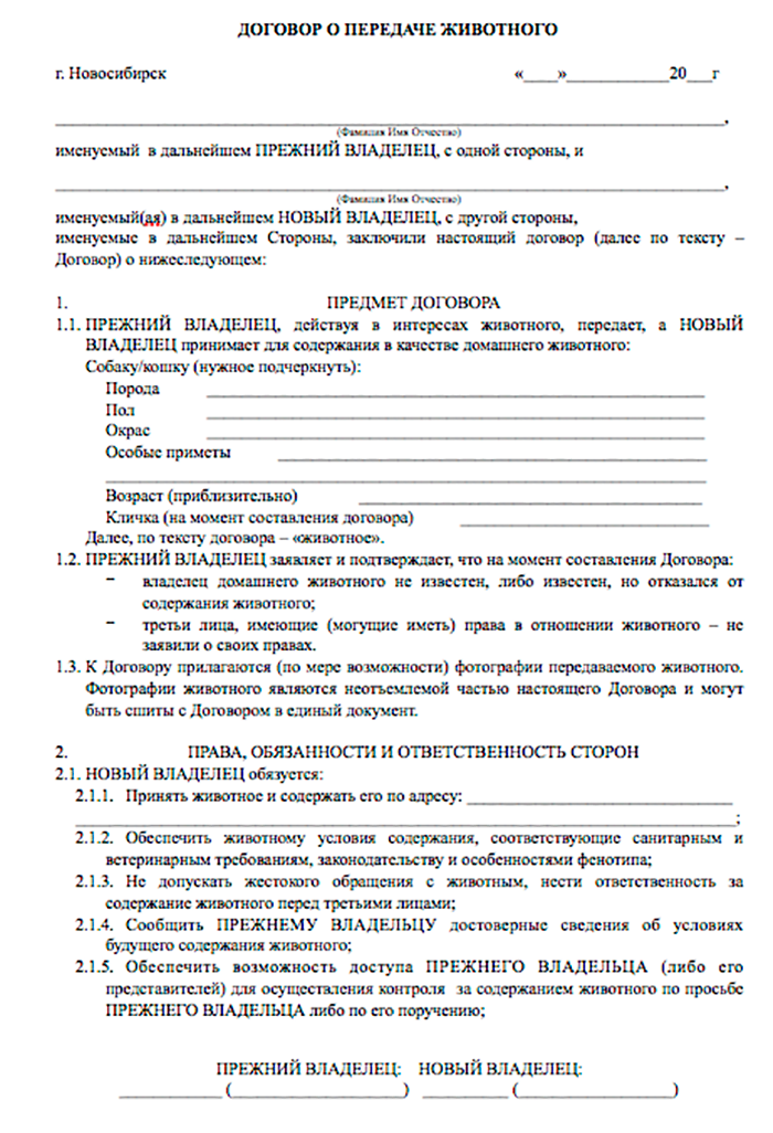 В договоре прописано, что новый хозяин должен кормить и лечить собаку и обязательно связаться с прежним опекуном, если пса по каким-то причинам придется отдать