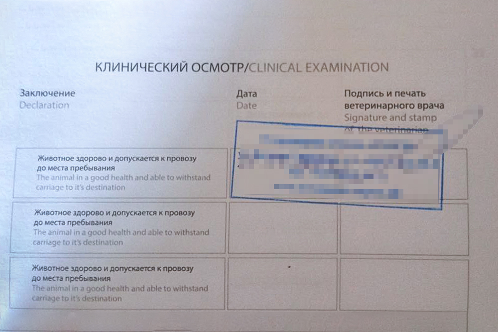 Также поставила в ветпаспорте отметку, что питомцы здоровы