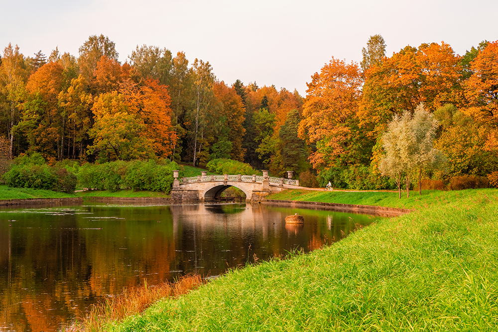 Я люблю теплую осень, когда можно гулять без шапки. Источник: Stanislav71 / Shutterstock