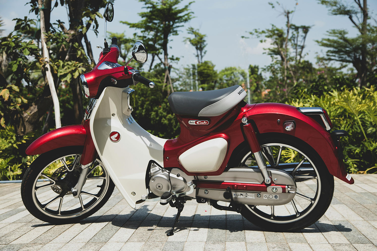 Скутеретта Honda Super Cub C125 — одно из самых популярных в Азии транспортных средств. Различные его модификации выпускают уже 60 лет. Фотография: Vo Huy / Pexels