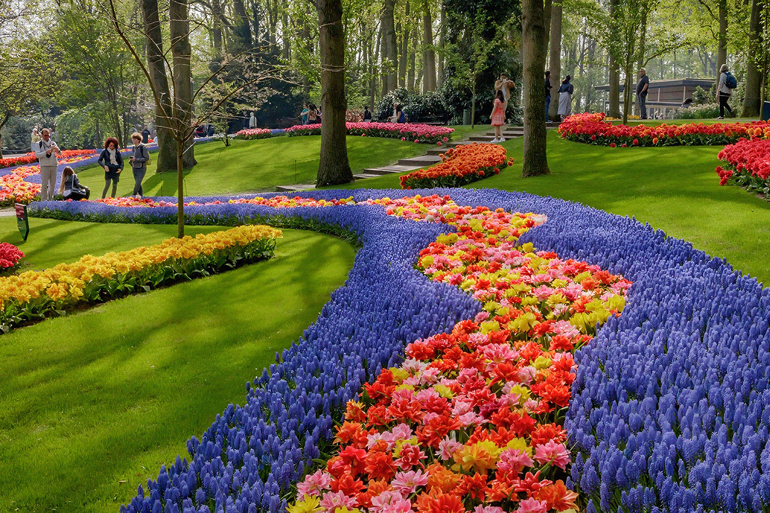 Парк «Кёкенхоф». Источник: keukenhof.nl