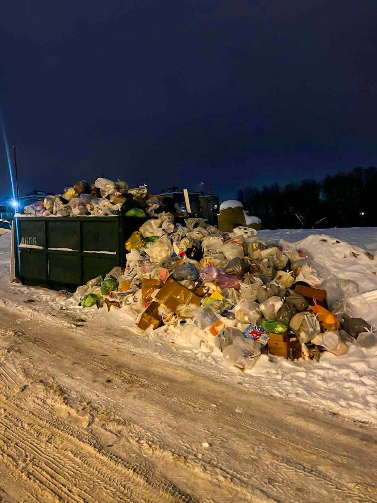 Мусорный коллапс на новогодних праздниках