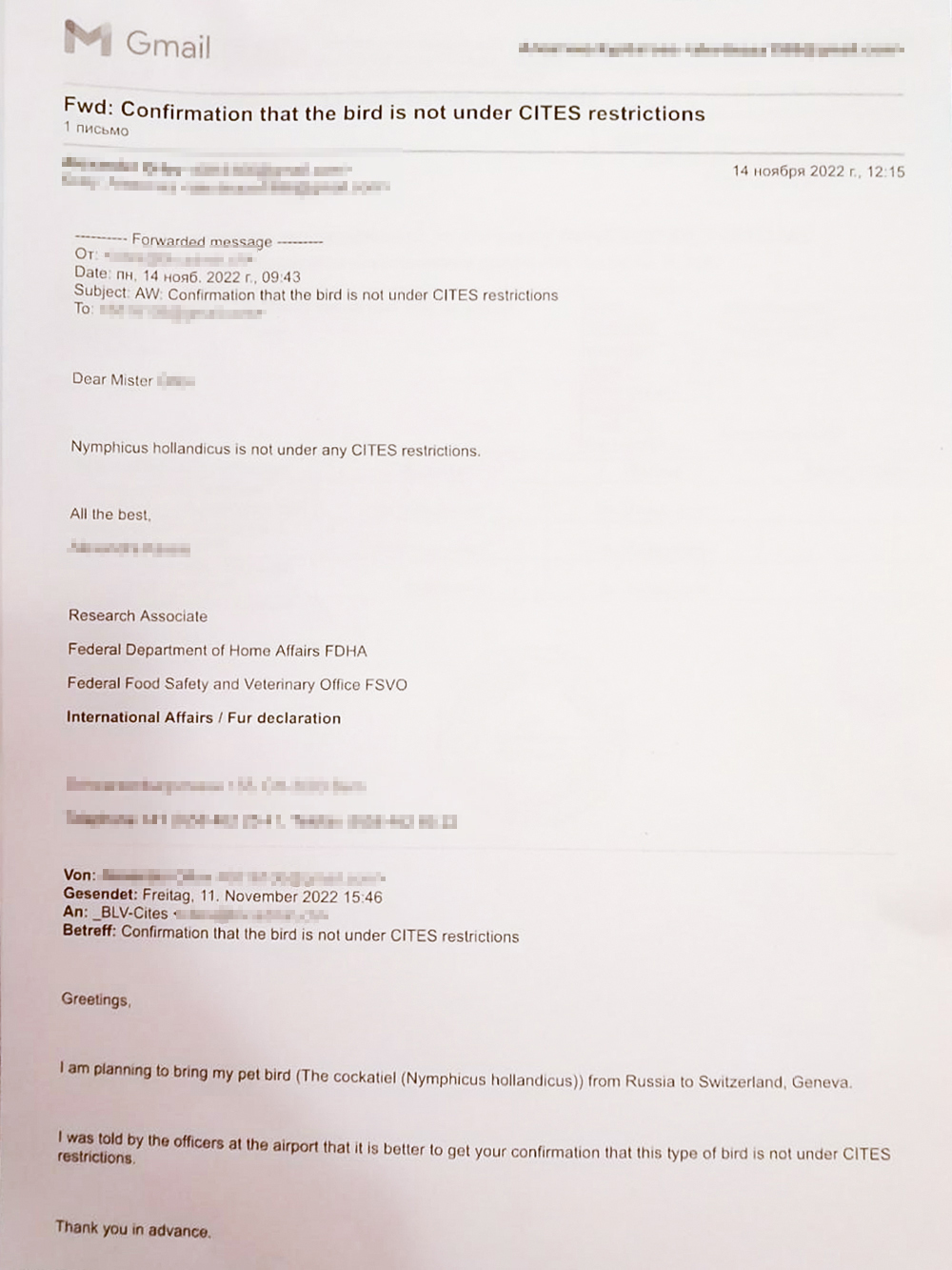 Муж написал в швейцарское отделение CITES, чтобы ему подтвердили, что птица не входит в список, и ему это подтвердили
