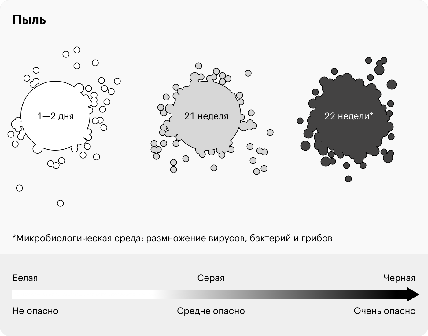 Самая опасная пыль — черная. Она образуется в труднодоступных местах, которые мы редко протираем: под шкафом, кроватью, ванной, в углах и на батарее. Источник: Н.Л. Володин, Л.А. Барбаумова «Основы клининга частных домов и апартаментов»