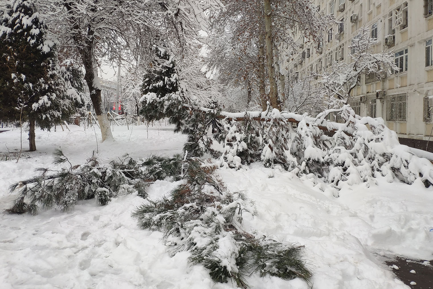 Так выглядела дорога возле нашего дома в первые дни снегопада