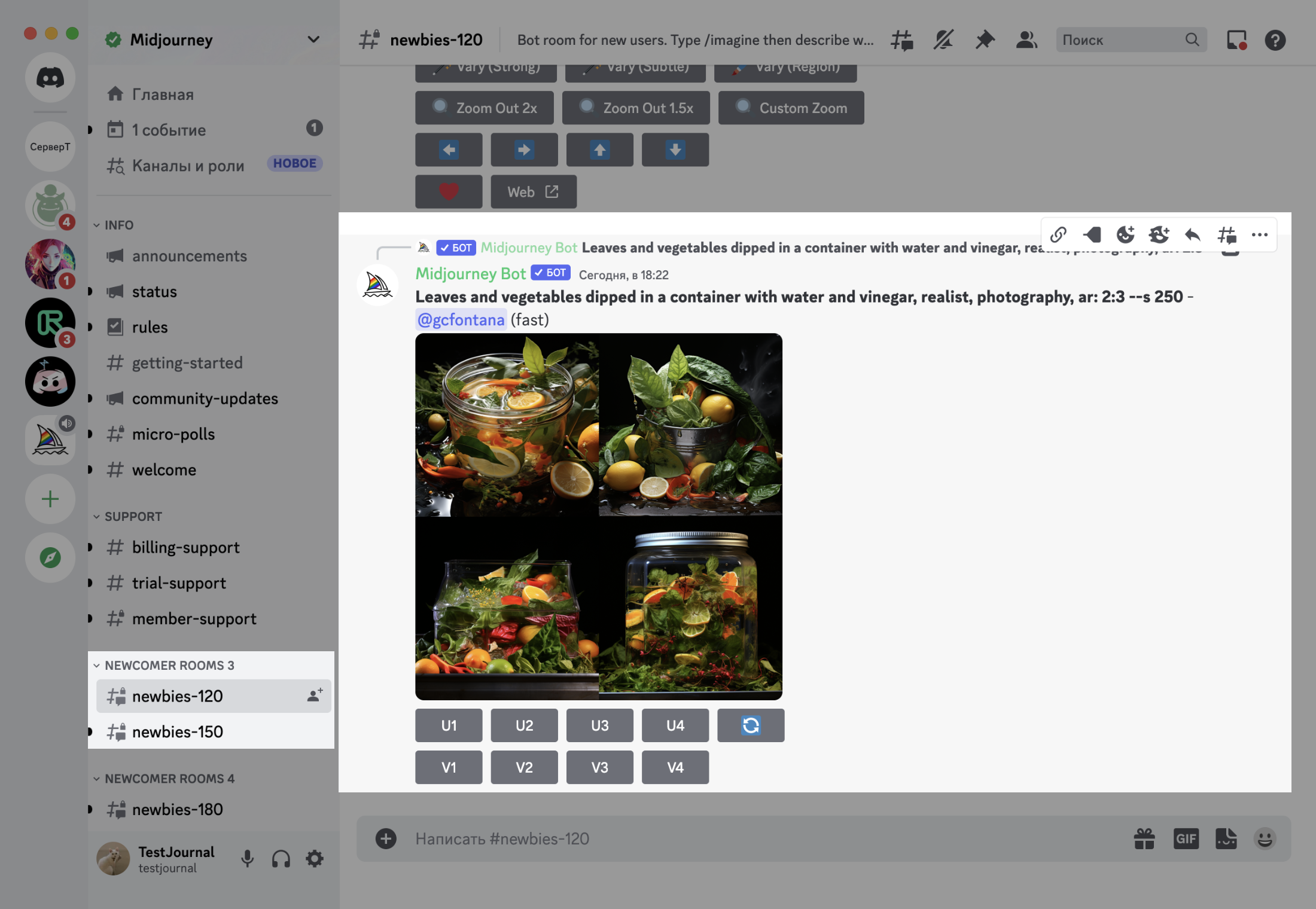 Мы зашли в один из каналов #newbie для новичков и нашли там бота Midjourney