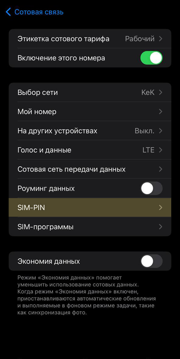 Выберите пункт SIM⁠-⁠PIN