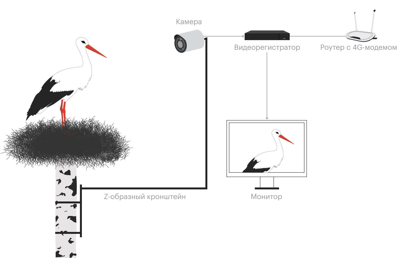 Схема моей простейшей системы видеонаблюдения за аистами. Камера записывала все, что происходит в гнезде, и передавала данные в регистратор. Далее видео через интернет выводилось на экраны моего компьютера и смартфона