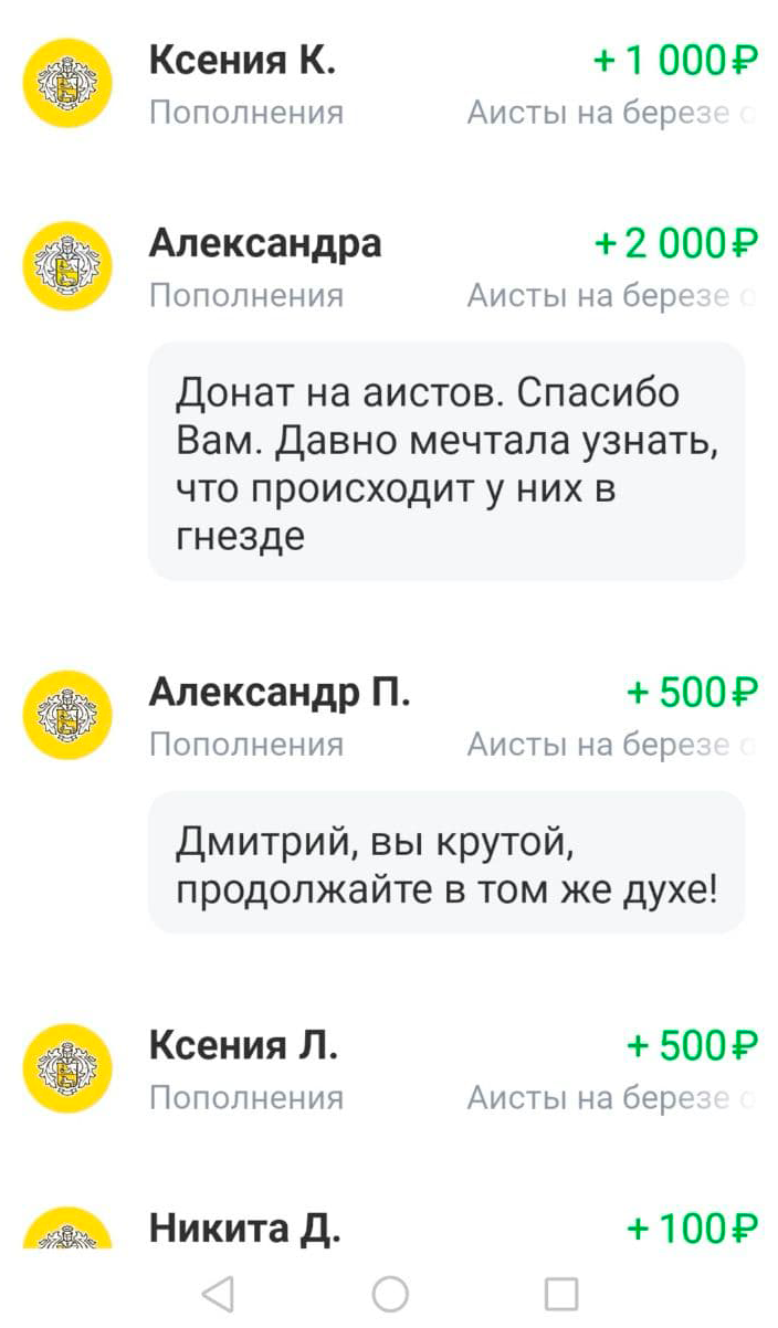 Чат сбора денег в приложении Т⁠-⁠Банка. Каждый донат вызывает у меня всплеск энергии и дает силы продолжать проект