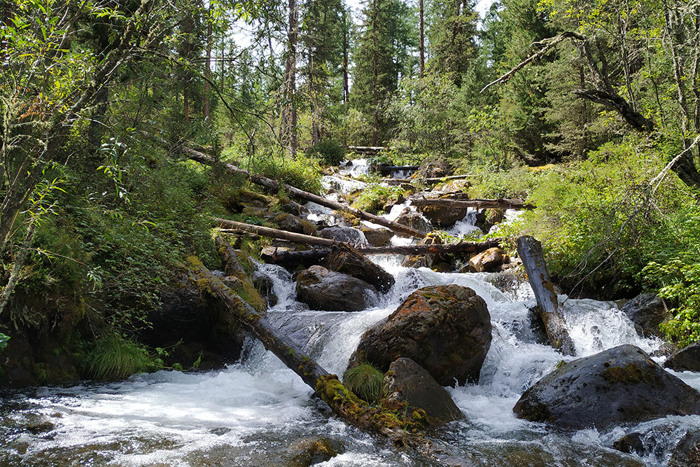 Ручей Орой стекает с горы и образует живописные водопады. Всю воду для питья и приготовления еды мы брали из ручьев, рек и озер