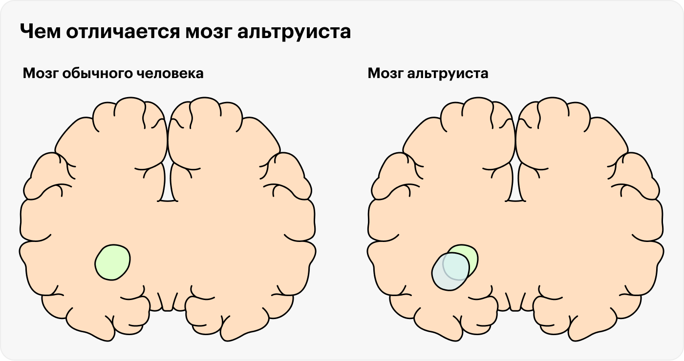 У необычайно альтруистичных людей объем правой миндалины в среднем на 8% больше, чем у обычных людей. Источник: pnas.org