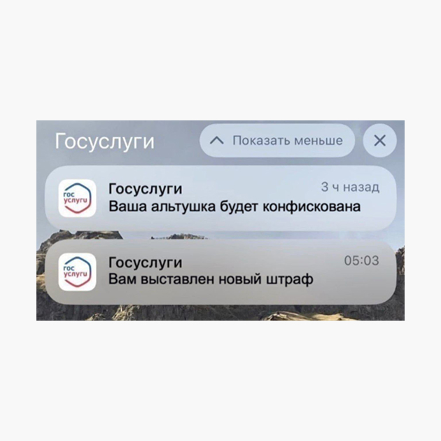 Мемы про альтушек с Госуслуг