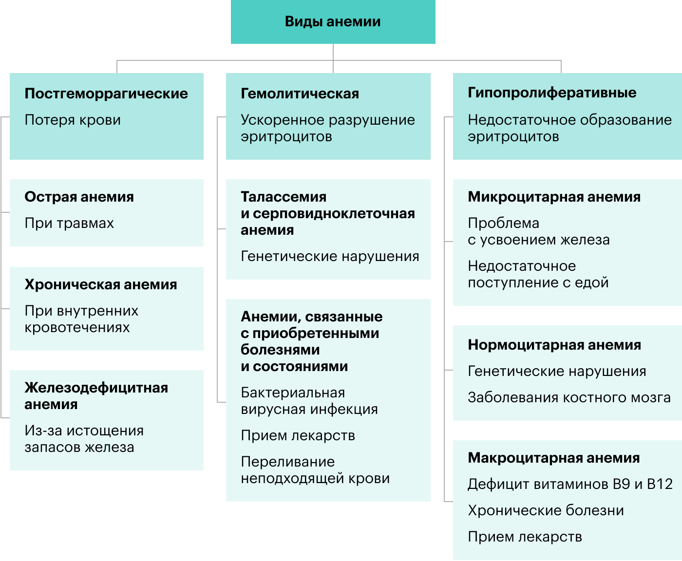 Анемия может развиться по разным причинам — вот основные из них