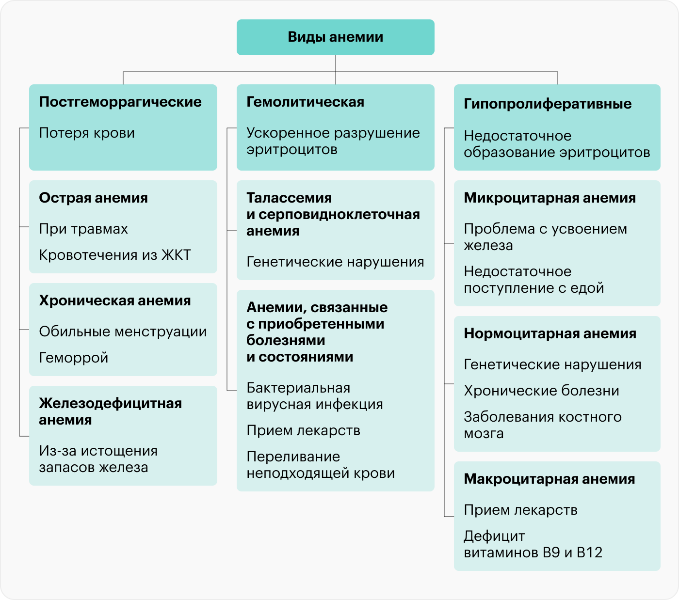 Анемия может развиться по разным причинам — вот основные