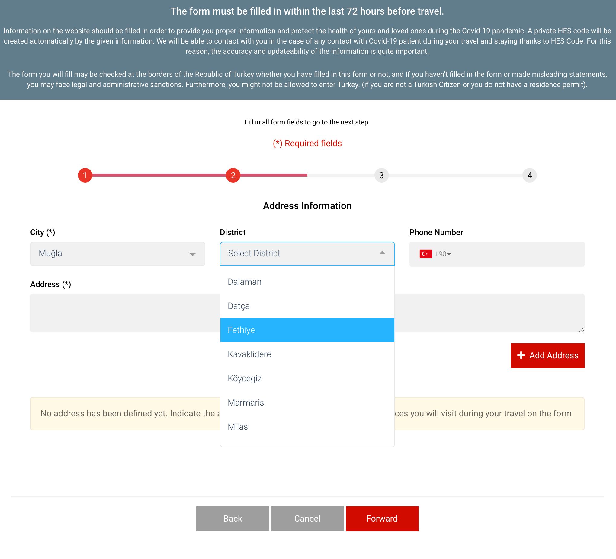 В анкете на портале register.health.gov.tr указывают паспортные и контактные данные, дату прибытия, адрес в Турции. А еще — страны, которые турист посетил за последние 10 дней