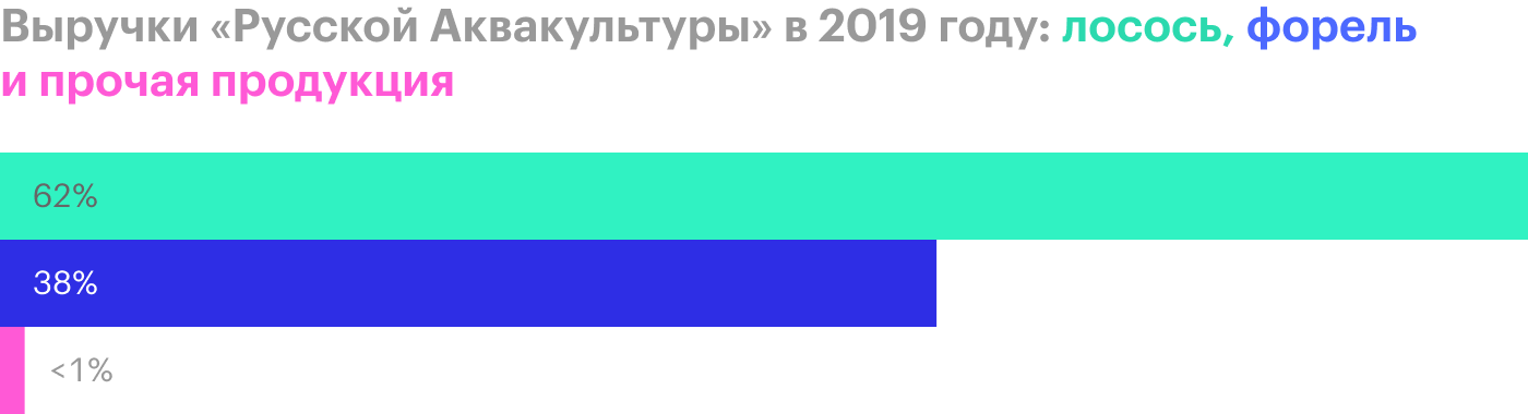 Источник: финансовая отчетность «Русской аквакультуры» за 2019 год