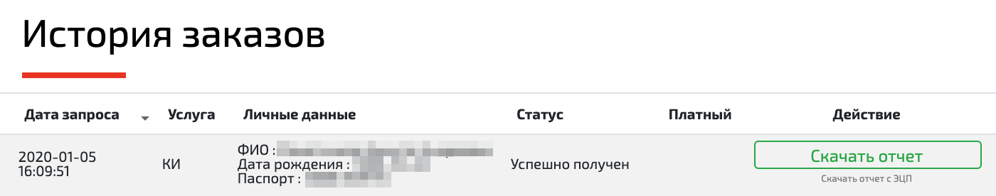 Отчет приходит через несколько минут — скачиваю его и изучаю кредитную историю