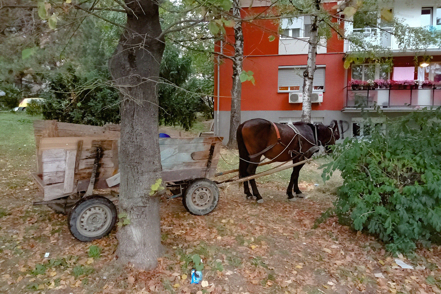 Я не стала фотографировать трущобы. Это некрасиво по отношению к жителям. Зато удалось запечатлеть их транспорт. На такой тележке рома ездили по нашему району и собирали мусор на переработку