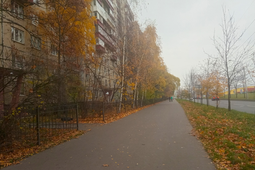 Если не замечать гудящее недалеко метро и огромный ТЦ, то кажется, будто я шагаю по Сыктывкару и родной Ухте. Спальные районы везде одинаковы и затапливают душу ностальгией