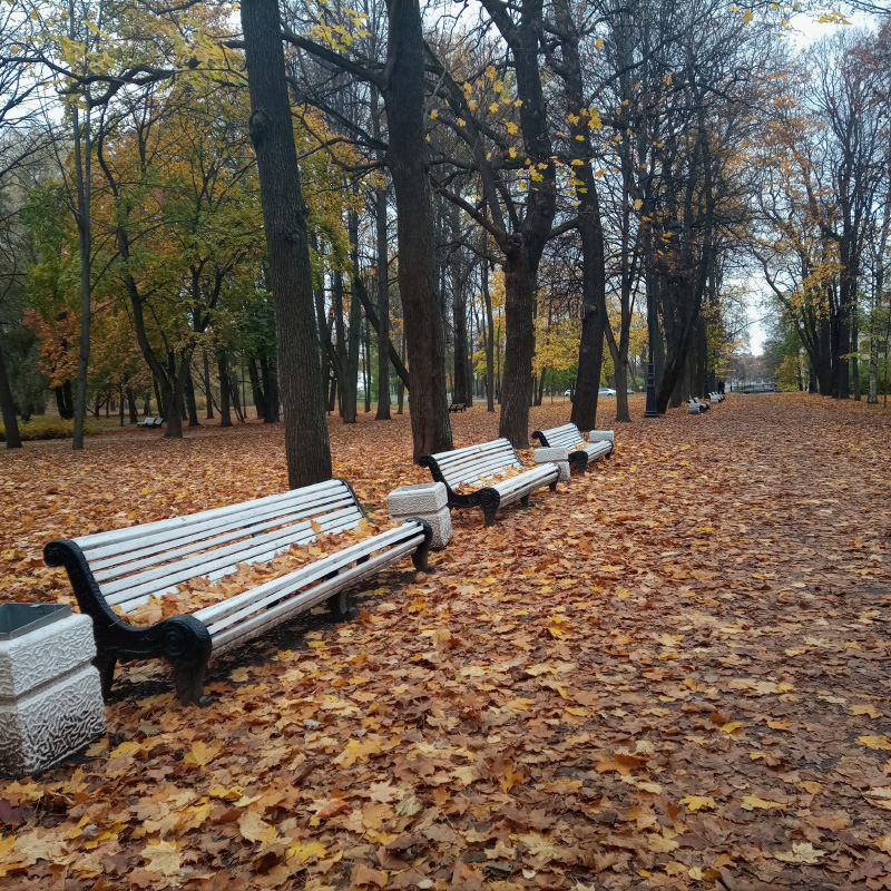 Сложно придумать подпись к этой красоте