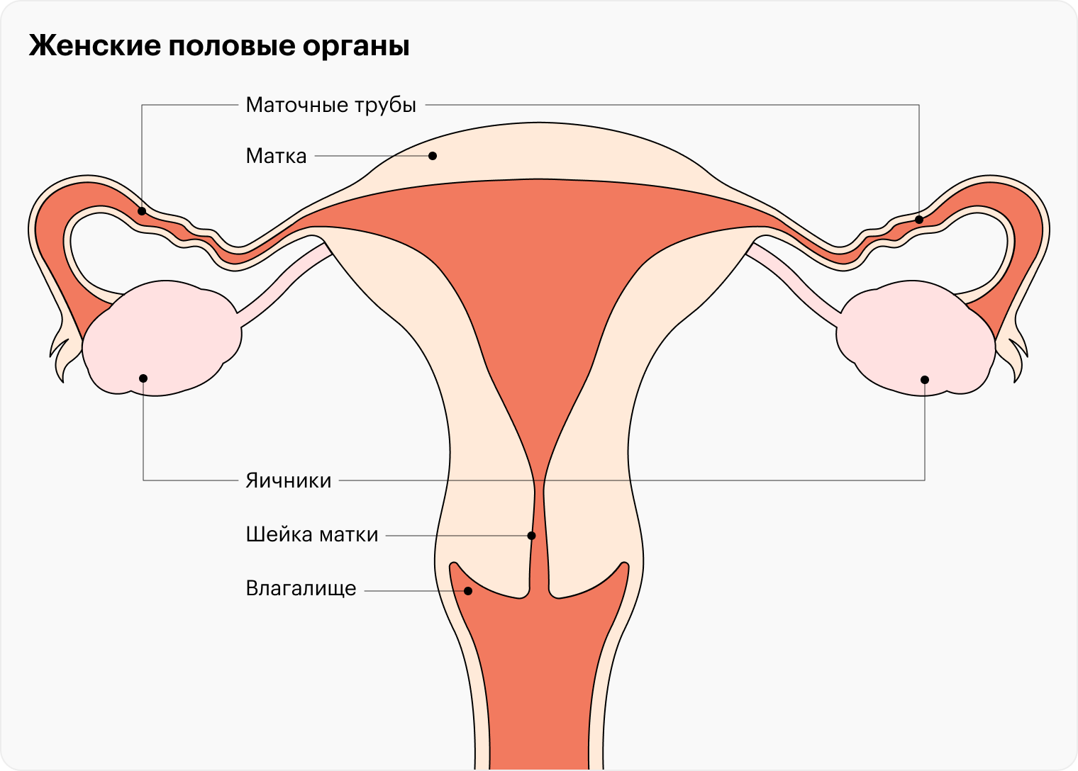 Женское бесплодие может быть связано с тем, что из яичников не выходит или нерегулярно выходит яйцеклетка; с тем, что она не может пройти по маточным трубам; с тем, что эмбрион не может закрепиться в матке или с тем, что сперма не попадает внутрь из⁠-⁠за проблем с маточной шейкой