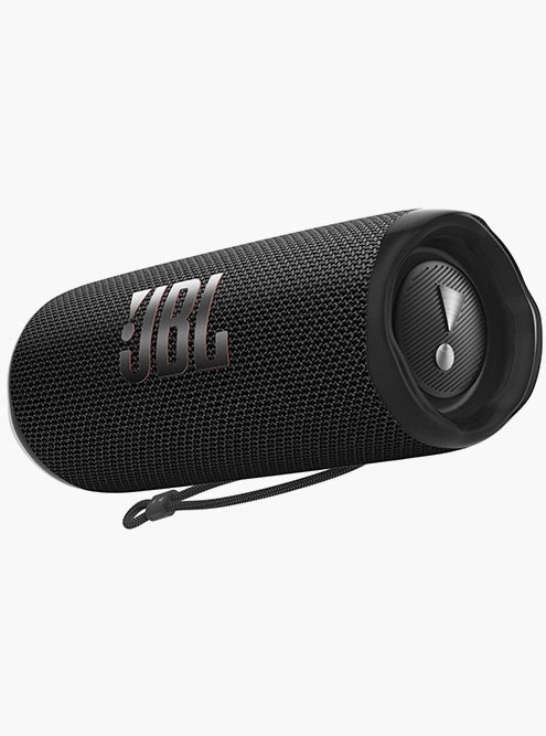 JBL Flip 6