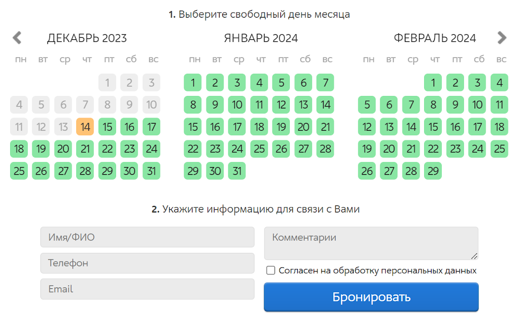 Интерфейс сервиса — так клиент может записаться на услугу и указать всю информацию по брони