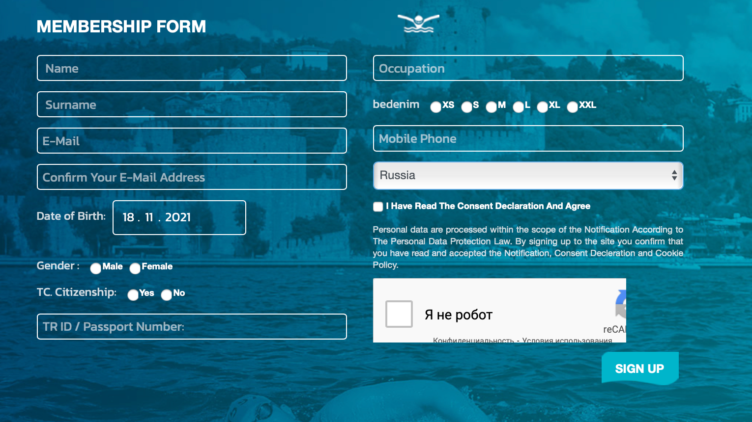 В анкете стандартные поля — фамилия и имя, электронная почта и телефон, пол, дата рождения, род занятий, страна. Источник: Bosphorus swimming race