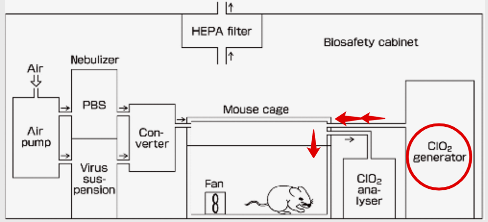 Красная стрелка показывает, что газообразный хлор из генератора поступает в мышиную камеру сверху и облако накапливается у мордочки животного. Источник: microbiologyresearch.org