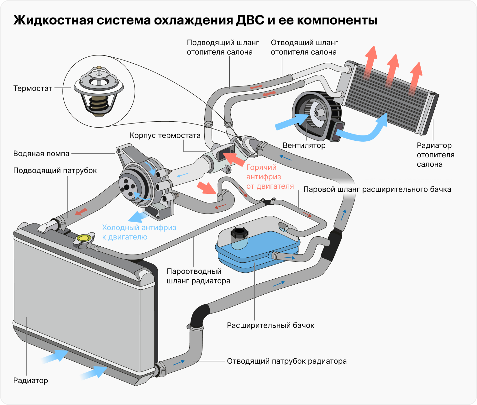 Источник: udaix / Shutterstock