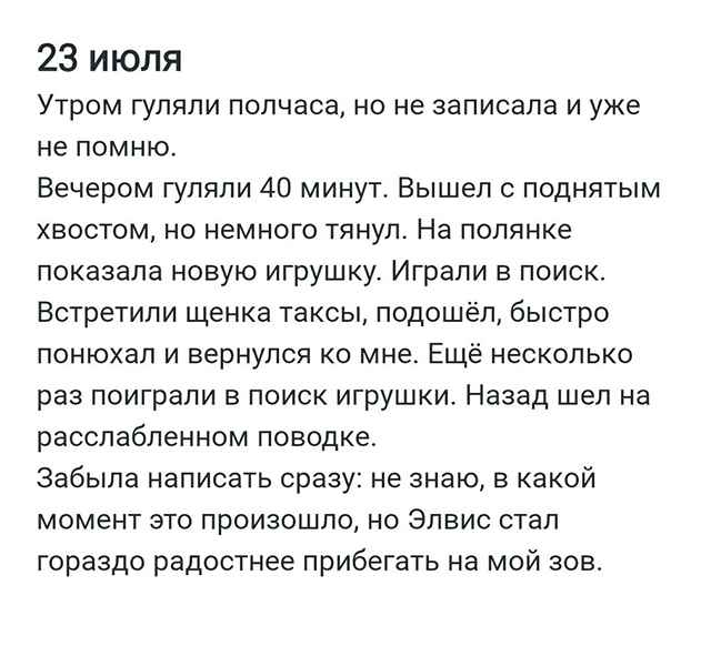 После прогулки трачу несколько минут, чтобы записать впечатления