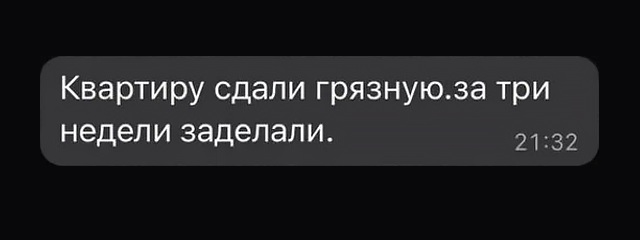 Желание добавить хозяйку в черный список было сильным, но интерес к неугомонным сообщениям оказался сильнее