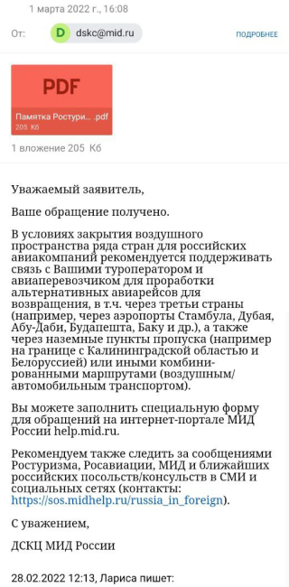 В МИД мне посоветовали держать связь со своим перевозчиком и следить за сообщениями Ростуризма, Росавиации и министерства