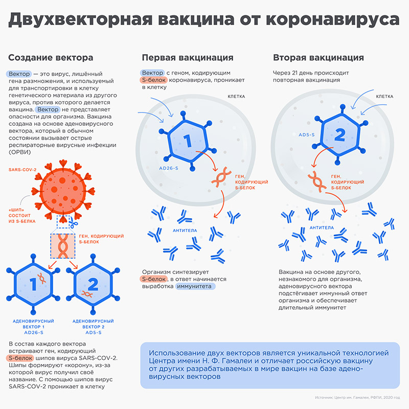 Как работает аденовирусная вакцина «Спутник V». Источник: sputnikvaccine.com