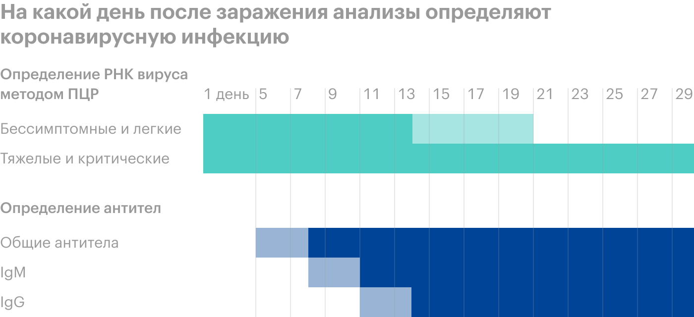 ПЦР-тесты (PCR) определяют инфекцию на следующий день после заражения. РНК вируса определяется в крови до 21⁠—⁠30 дней — в зависимости от тяжести болезни. Тесты на антитела для диагностики коронавирусной болезни не используют, но антитела появляются примерно на четвертый — седьмой день с момента заражения. IgM появляются на шестой-седьмой день, а IgG — на десятый-одиннадцатый